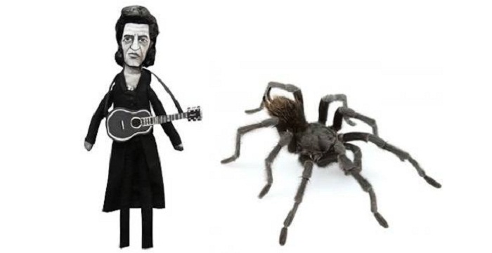 New tarantula species named after singer Johnny Cash